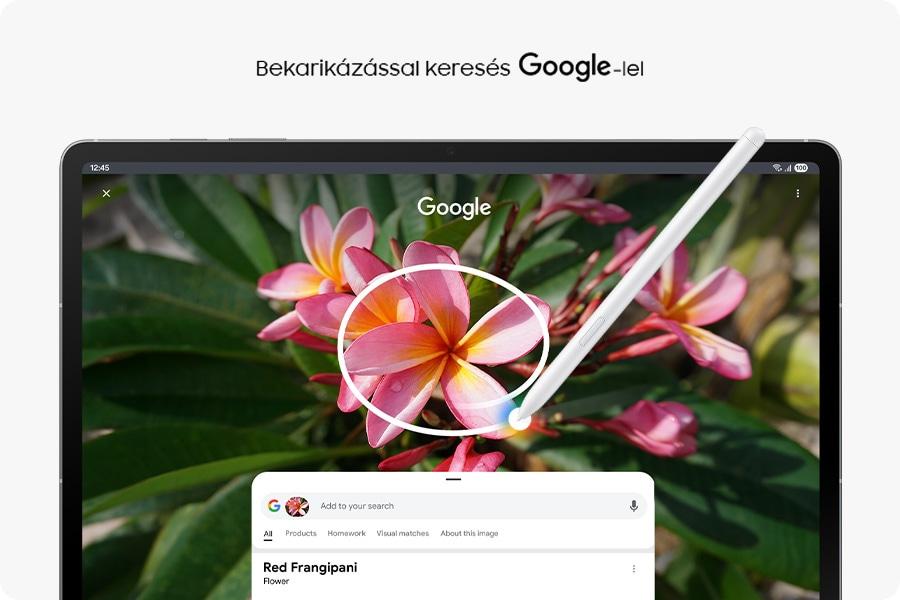 Galaxy Tab S10 FE+