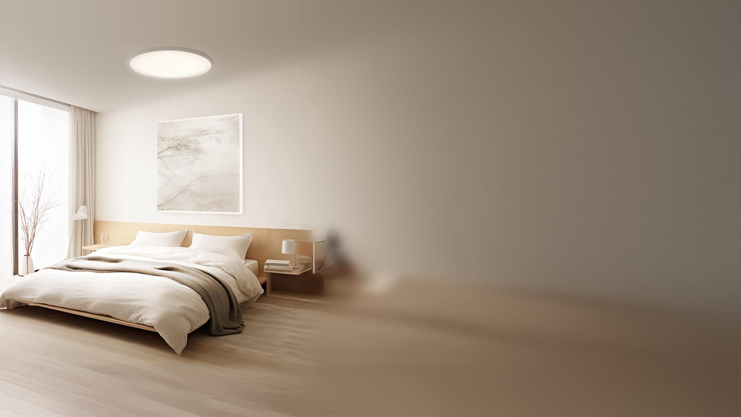 Xiaomi Smart Ceiling Light D30
